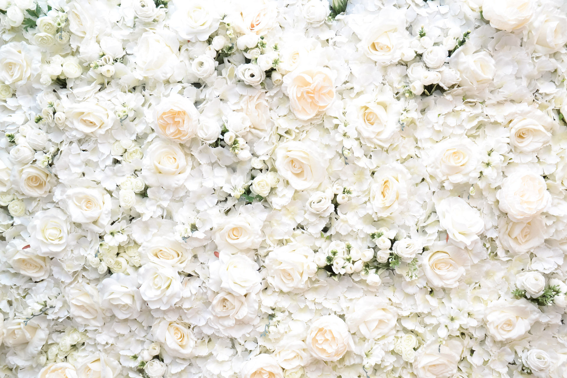 SS Wedding Ceremonies Setup